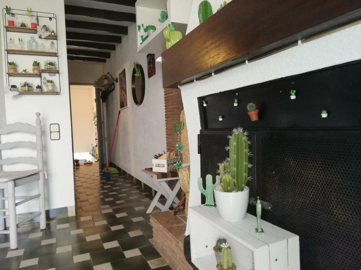 Can Cactus Garriguella Extérieur photo